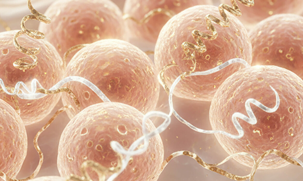 A meticulous symbiosis of Biomimetic Peptides, PDRN and Exosomes.